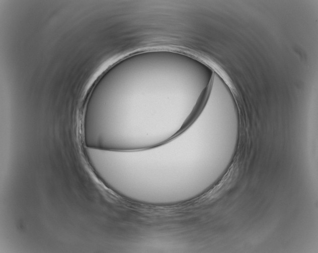 X0000112731101200908201008