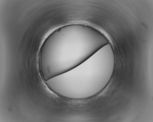 X0000112731102200908201008