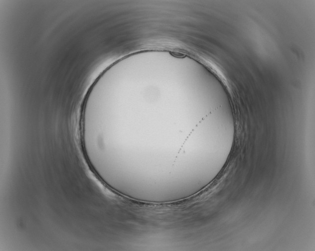 X0000112731103200908201008