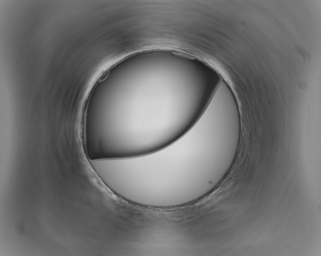 X0000112731104200908201008