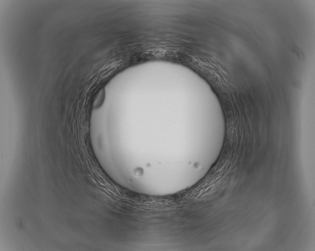 X0000112731105200908201007