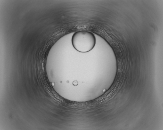 X0000112731106200908201007