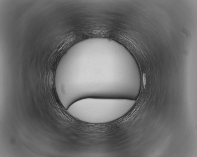 X0000112731107200908201007