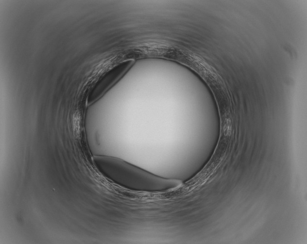 X0000112731108200908201007