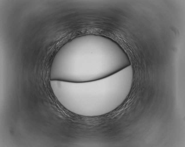 X0000112731109200908201007