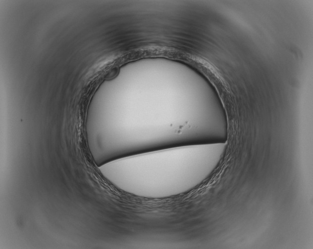 X0000112731111200908201007