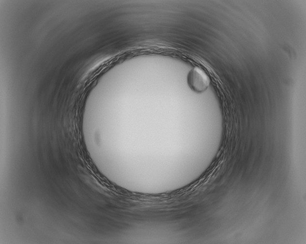 X0000112731112200908201007