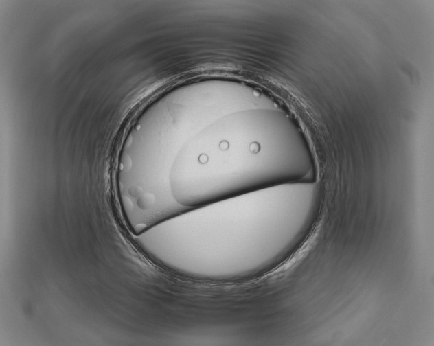 X0000112731113200908201007