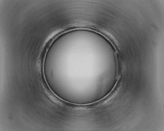 X0000112731114200908201007