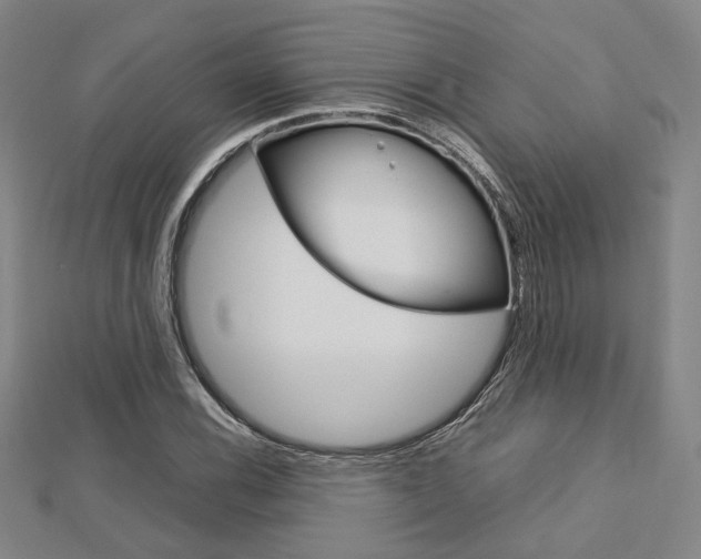 X0000112731116200908201007