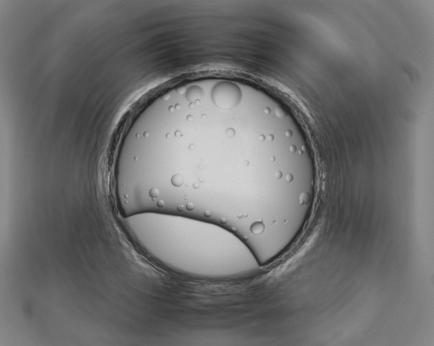 X0000112731117200908201007