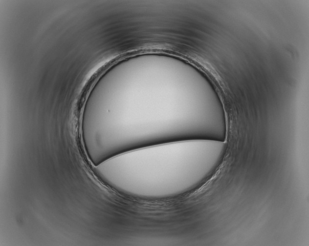 X0000112731119200908201007