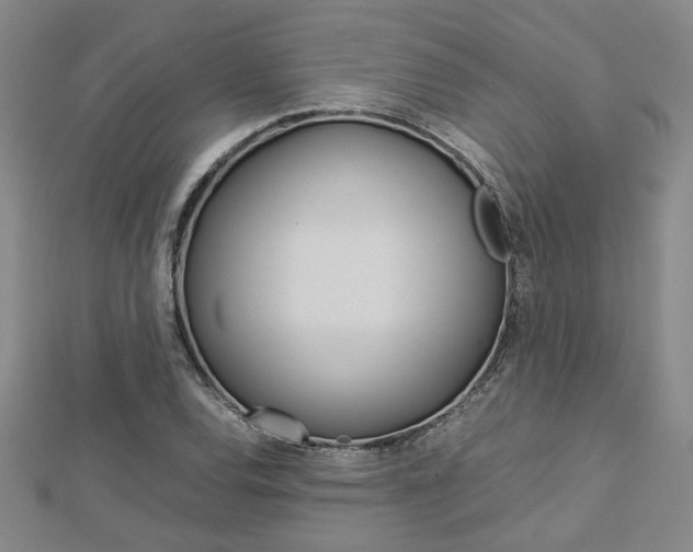 X0000112731120200908201007