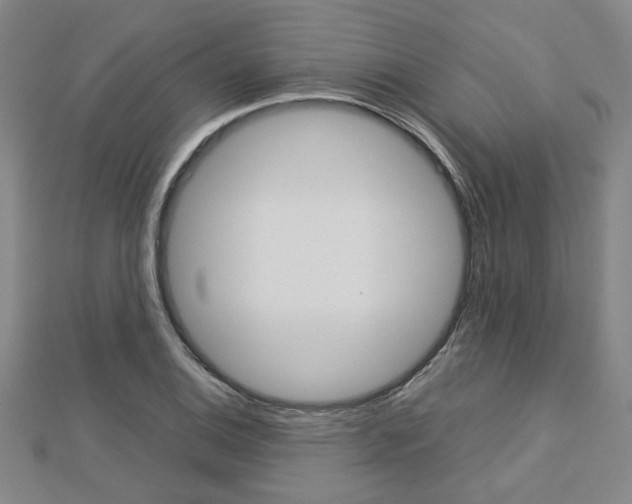 X0000112731124200908201007