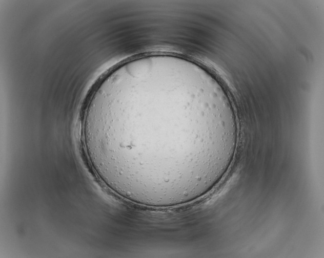 X0000112731125200908201007