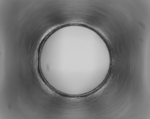 X0000112731126200908201007