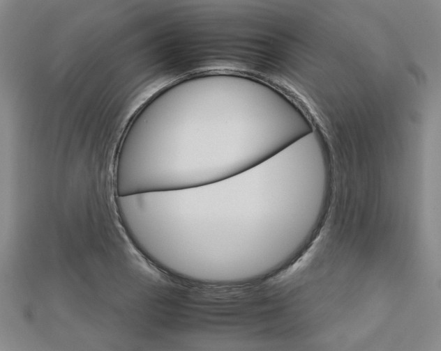 X0000112731129200908201007