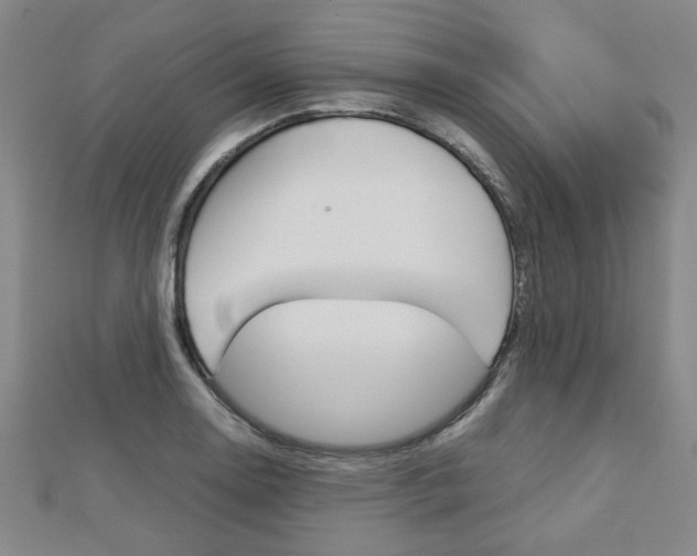 X0000112731130200908201007