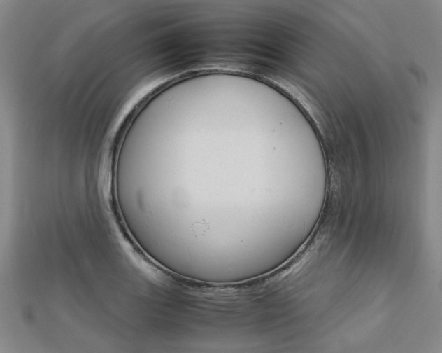 X0000112731131200908201007