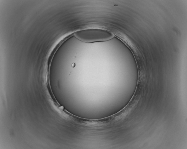 X0000112731132200908201007