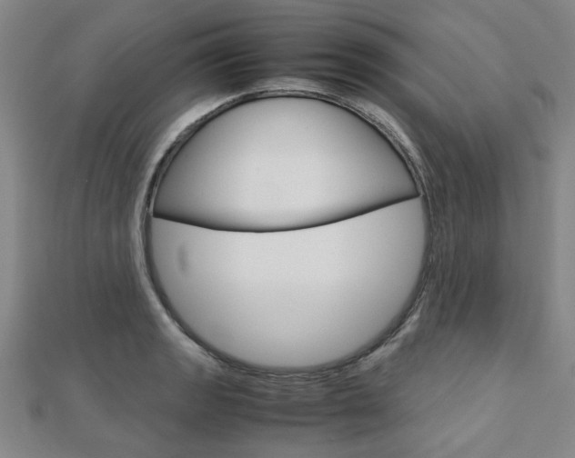 X0000112731133200908201007