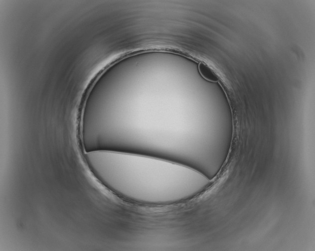 X0000112731134200908201007