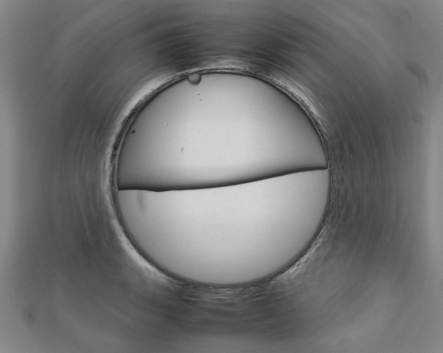 X0000112731135200908201007