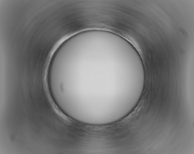 X0000112731136200908201007