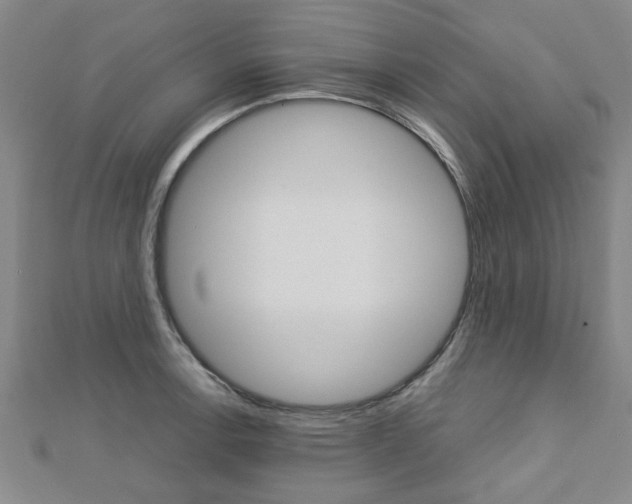 X0000112731138200908201007