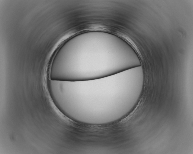 X0000112731139200908201007
