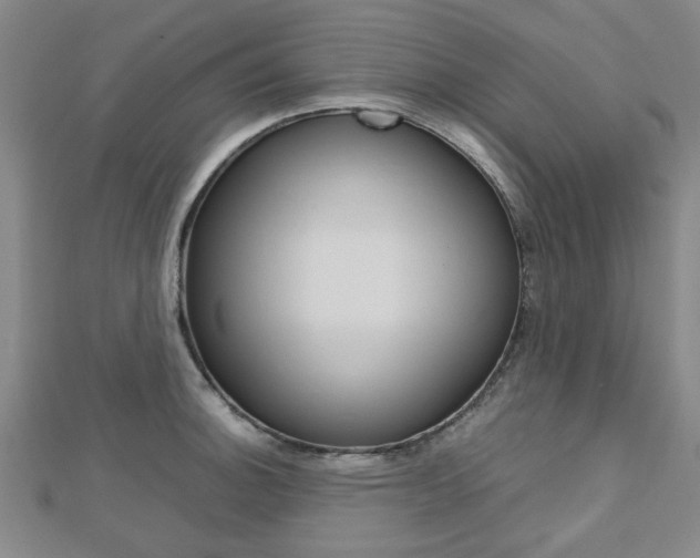 X0000112731140200908201007