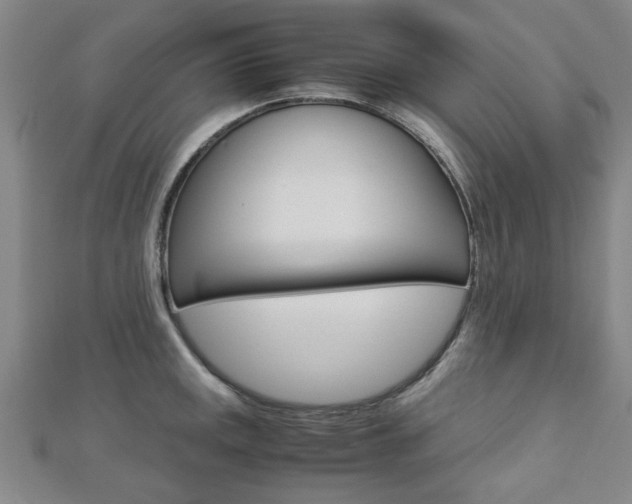 X0000112731141200908201007