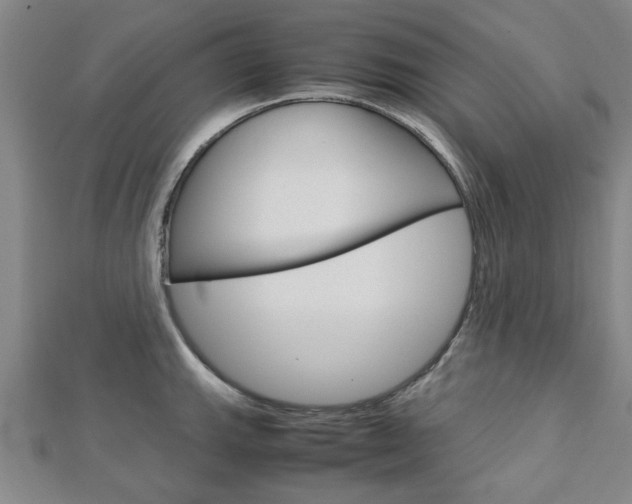 X0000112731143200908201007