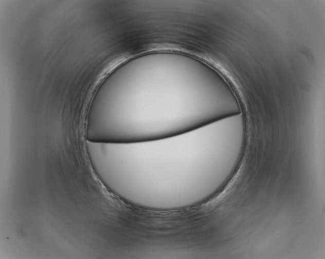 X0000112731145200908201007