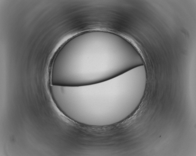 X0000112731147200908201007