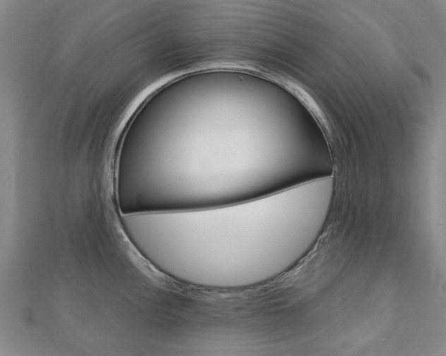 X0000112731148200908201007