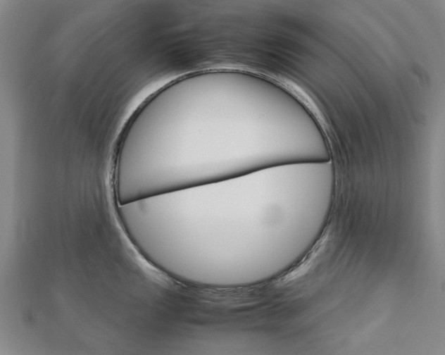 X0000112731149200908201007