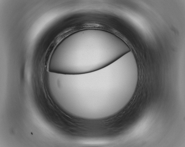 X0000112731151200908201008