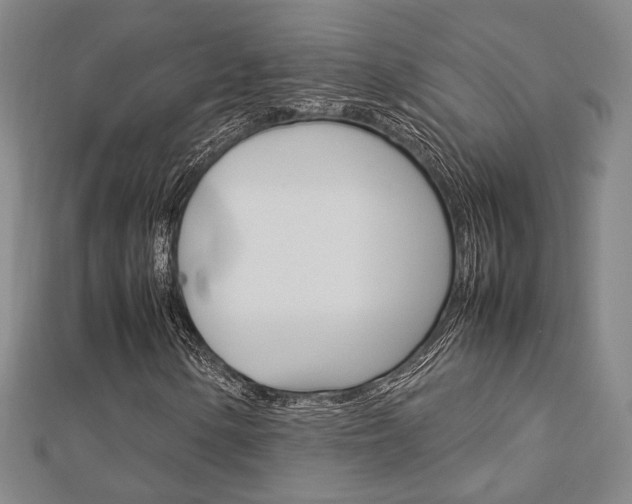 X0000112731154200908201007