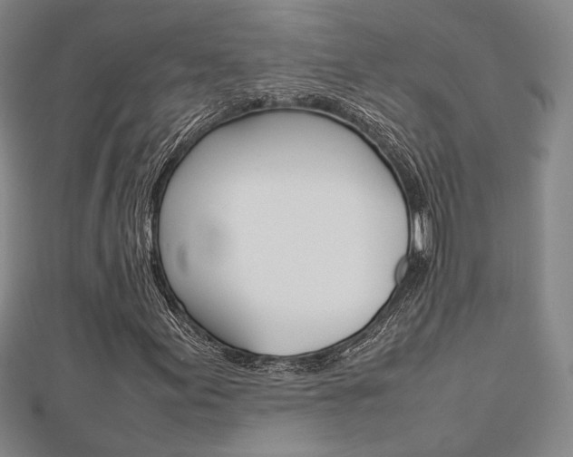 X0000112731155200908201007