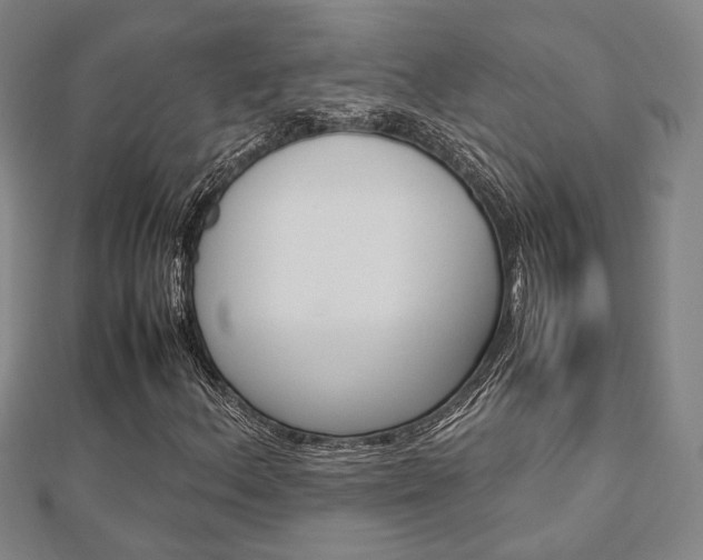 X0000112731156200908201007
