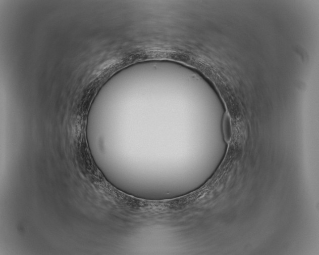 X0000112731157200908201007