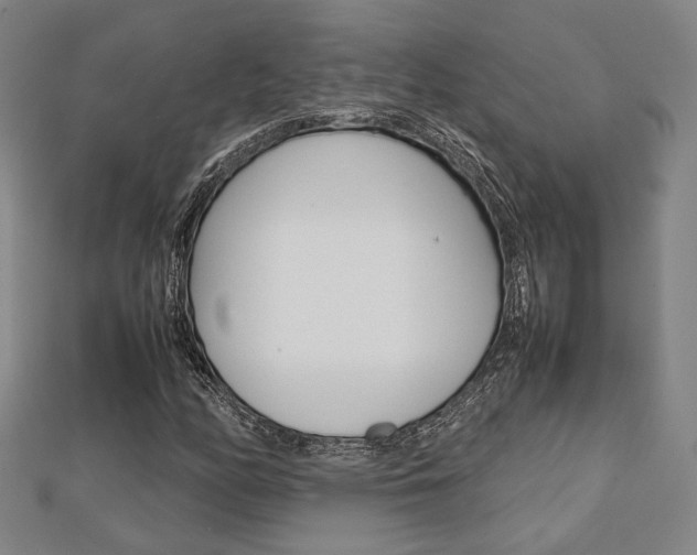 X0000112731158200908201007