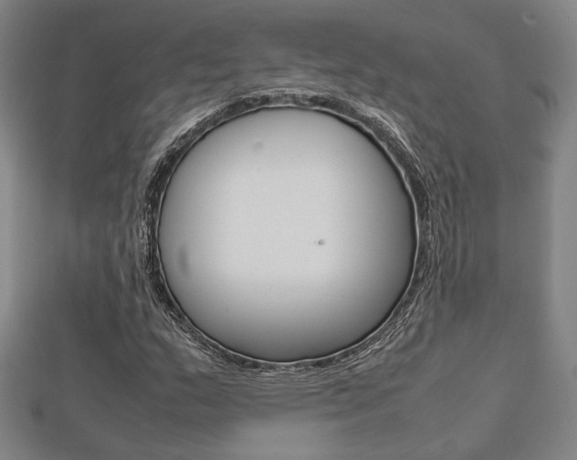 X0000112731159200908201007