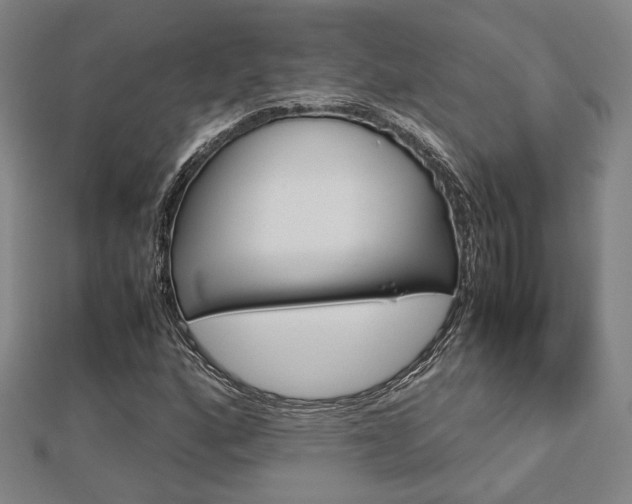 X0000112731160200908201007