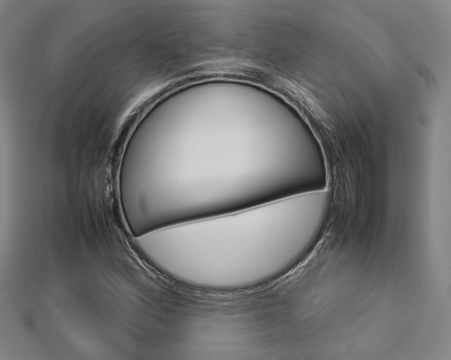 X0000112731164200908201007