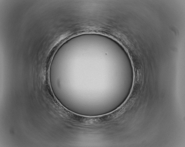 X0000112731165200908201007