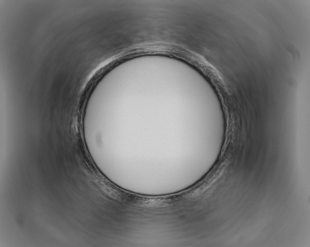 X0000112731166200908201007