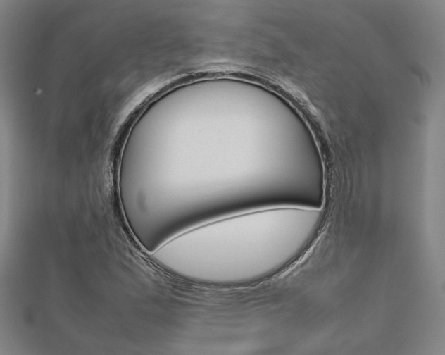 X0000112731167200908201007