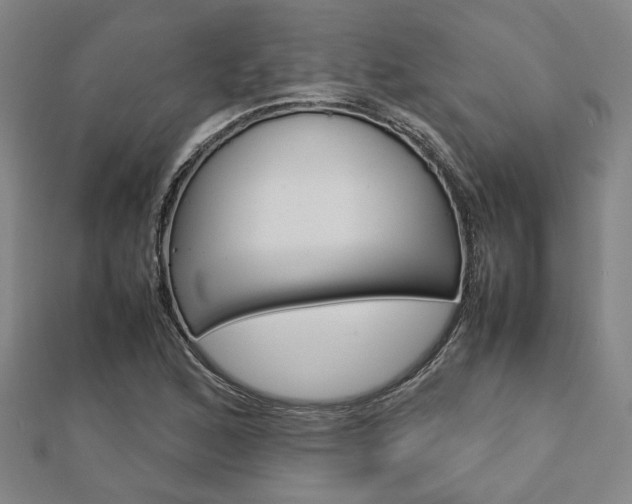 X0000112731168200908201007